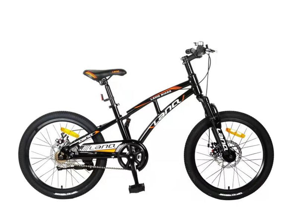 Bicicleta Ciclismo  20 Pulg Negro Negro