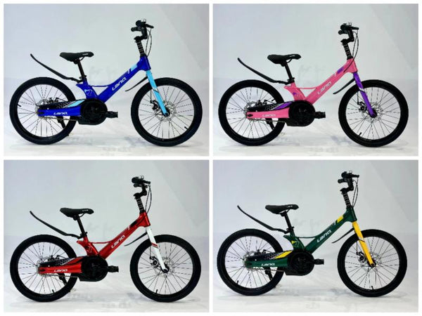 Bicicleta Ciclismo 20 Pulg