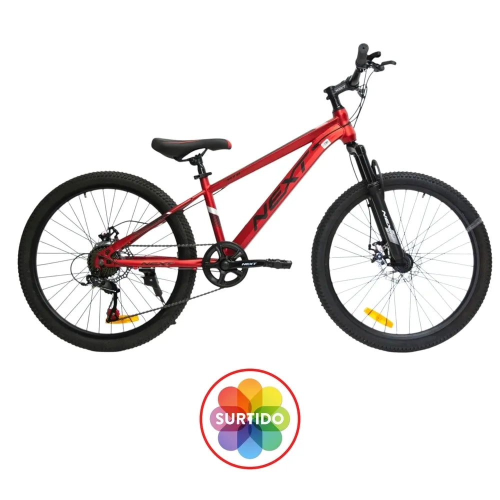 Bicicleta Next MTB R24 Edad 10 Años En Adelante