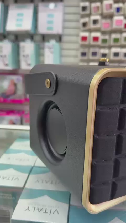 Video real del parlante JBL Party 300 con 2 micrófonos inalámbricos
