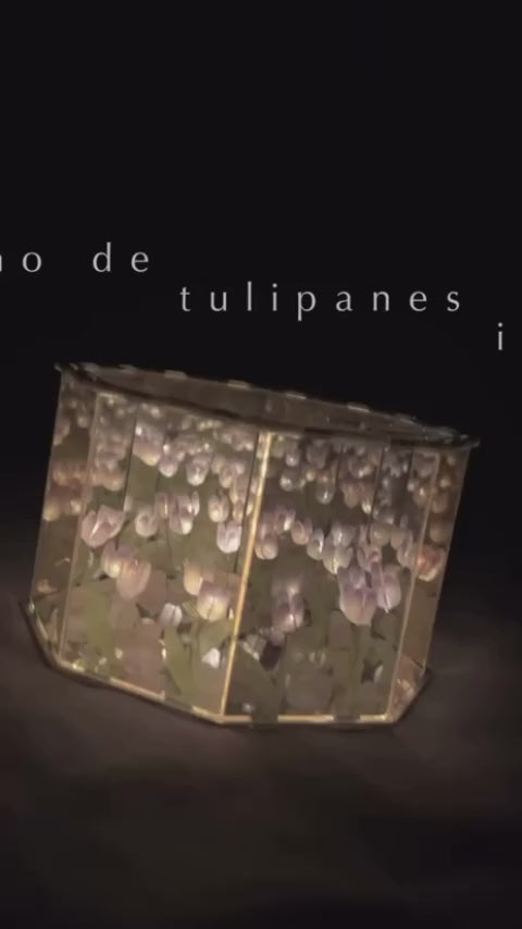 Video real de la lampara de tulipanes encendida
